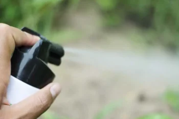 Person spraying insect spray outdoors