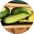 Oakland C. Avatar